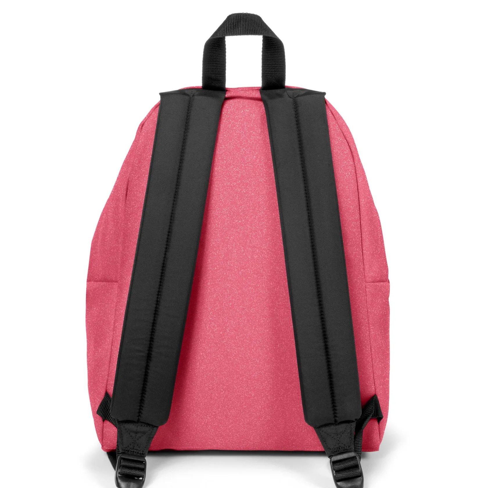Eastpak Waterdichte Rugzakken | Dagrugzakken>PADDED PAK'R® SparkJelly