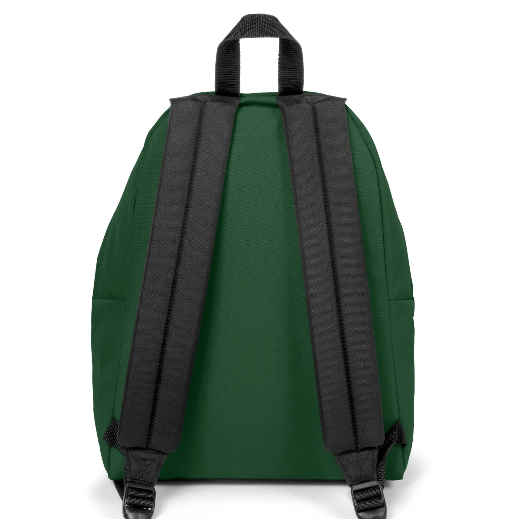 Eastpak Waterdichte Rugzakken | Dagrugzakken>PADDED PAK'R® BristleGreen