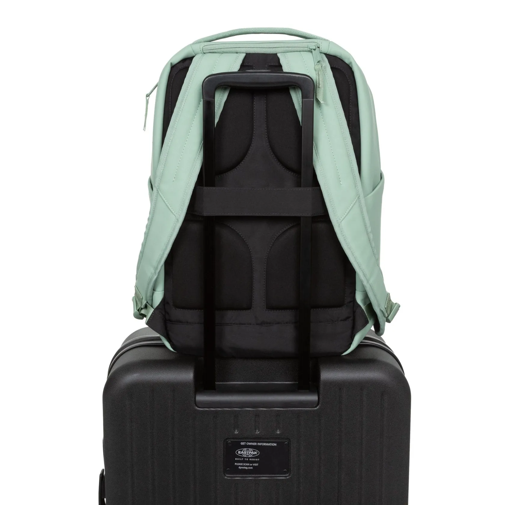Eastpak Rugzakken>TECUM F CNNCTFFrost